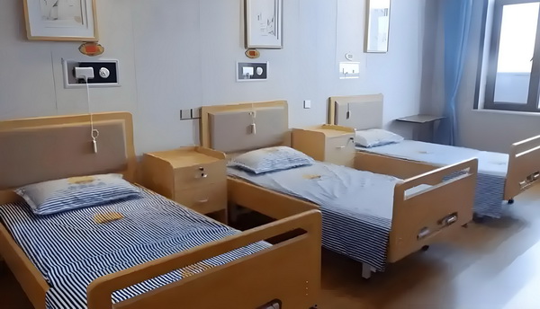 寻找猫公主